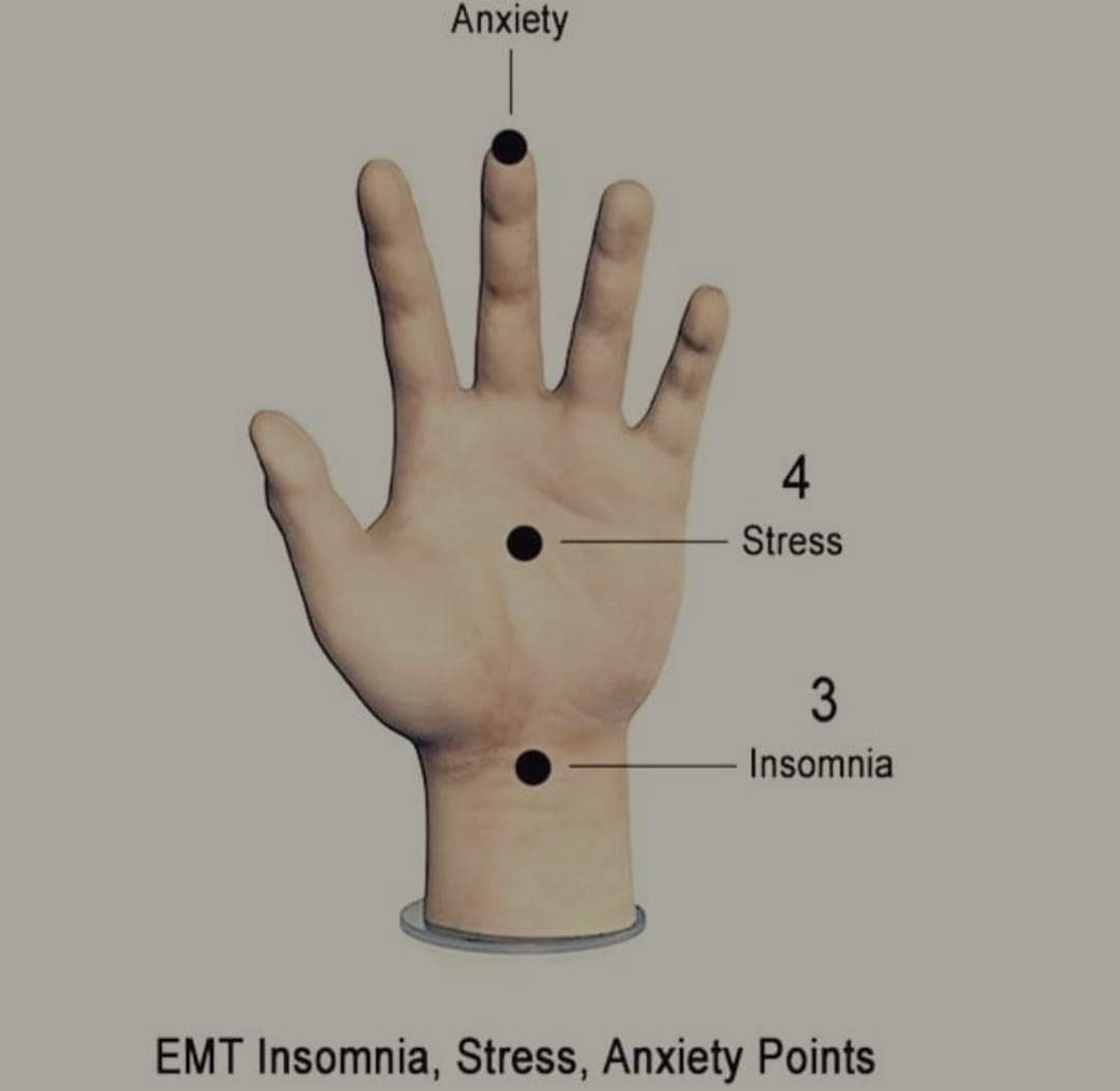 Insomnia_Anxiety_Stress