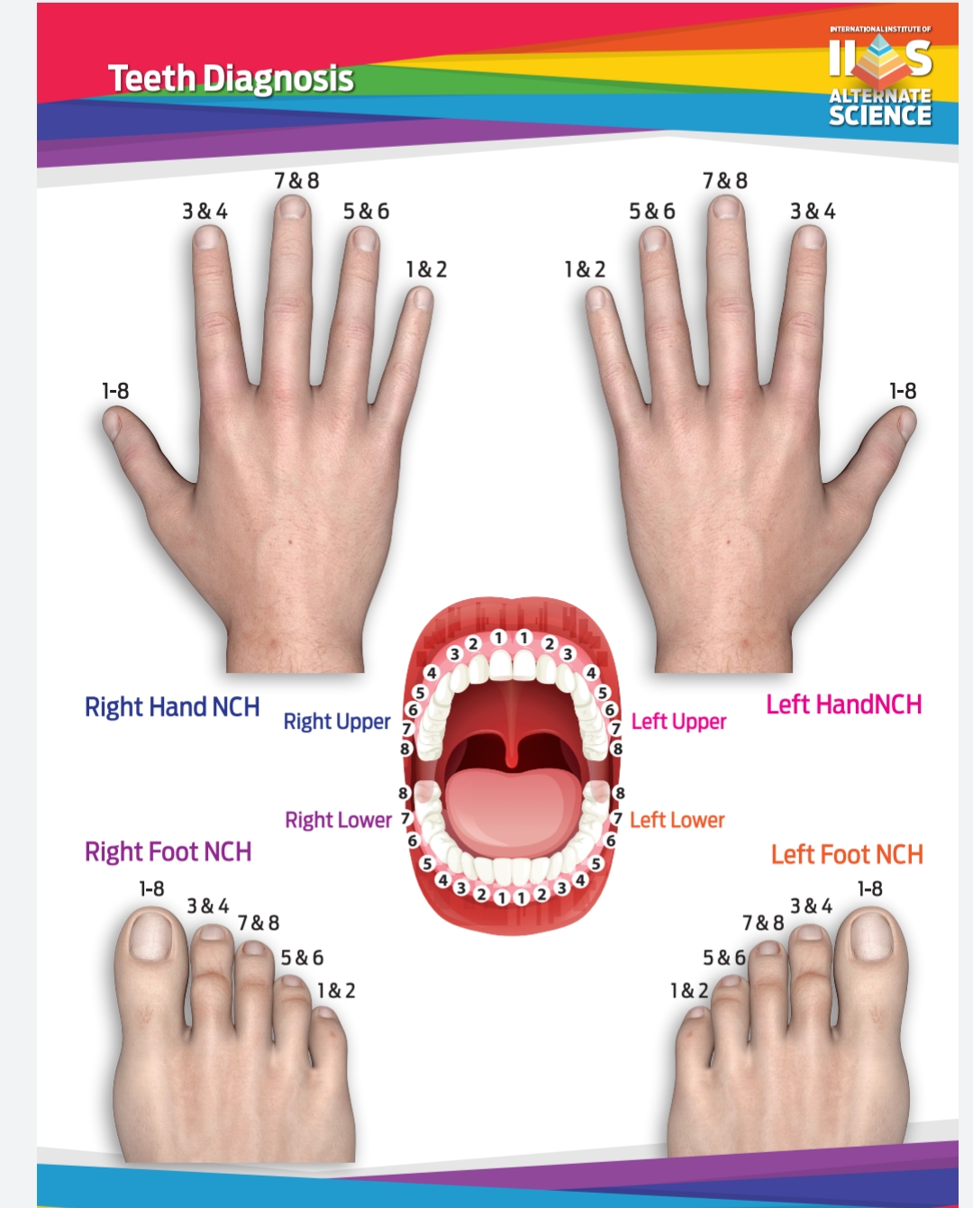 Teeth Diagnosis
