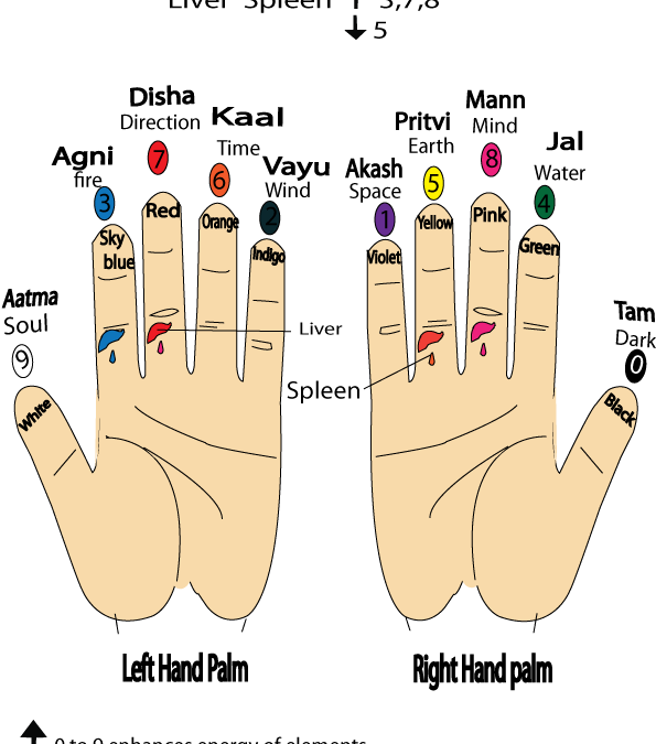 Nodes below for the Skin