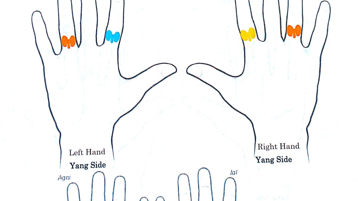 Gray Hair (Premature Greying)