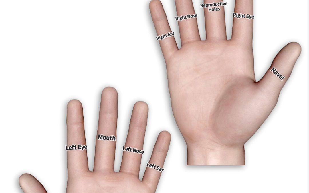 Body Holes on Hand Joints