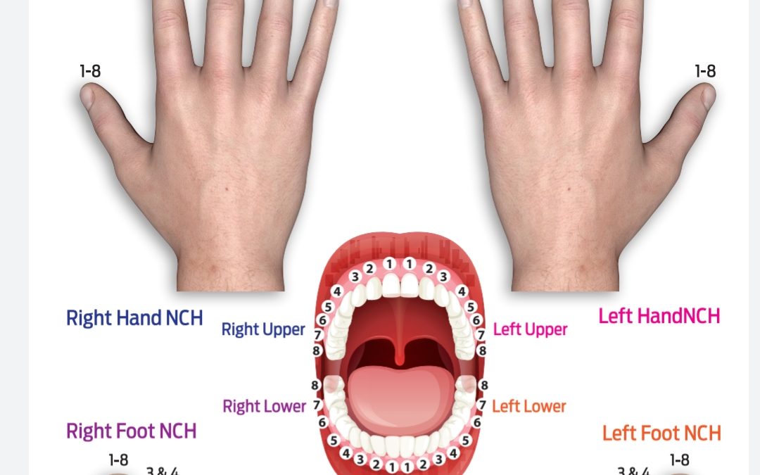 Teeth Diagnosis